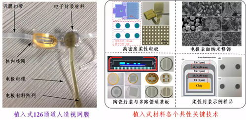 深圳先進院攜多個黑科技產品閃耀CIOE2018，推動光電技術交流與創(chuàng)新